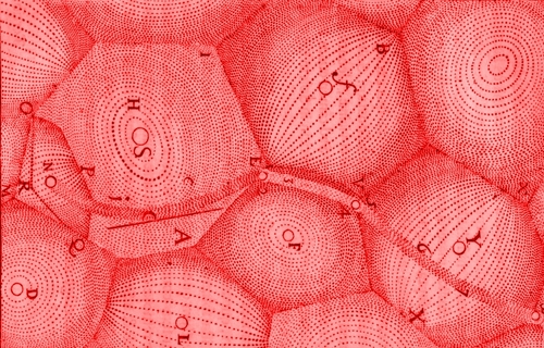 kuki_shuzo's profile picture. 