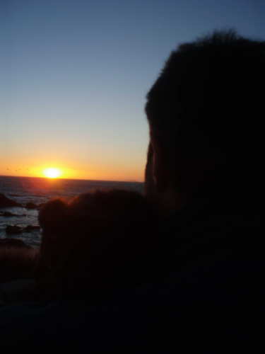 EugenioPicazo's profile picture. El futuro depende de las decisiones del presente.