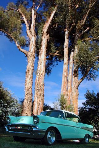 snck88's profile picture. Technologist, Husband, Dad to three little tornados.