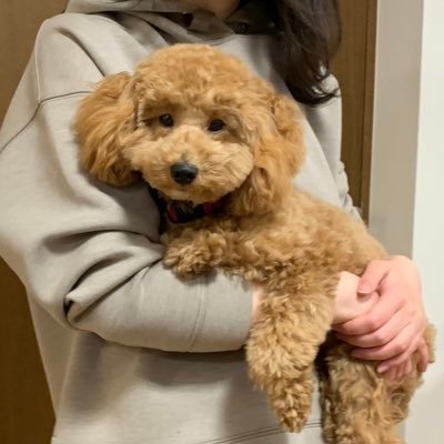 316_pykn's profile picture. @theBandwagon_JP Key.Cho.Arr. 東京音大映放と、ARTOFFICE 32ndでした。社会人です