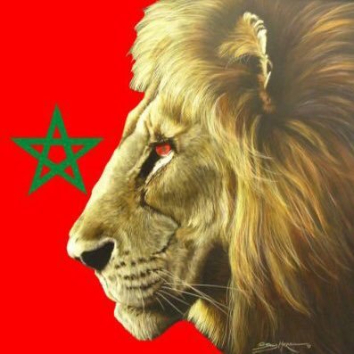 212🇲🇦🌪 // je follow back !!!