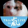 syaotuoksohi's profile picture. 嵐と猫。特に智の美声と飼い猫二匹のﾓﾌﾓﾌに癒される日々。  フォロー リプライお気軽に。 雑多に呟き、雑多にRTします。