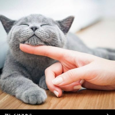 7FJn6oxdx9wQZaw's profile picture. マゾ活 踏み活 貢ぎ