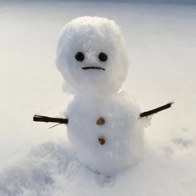 treefrog_pyon's profile picture. 京大工学部電電