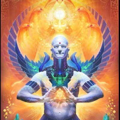 miguelreyna13's profile picture. 