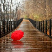 طيبه الحنينه (@7tneaiiaky49kvv) Twitter profile photo