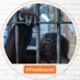 Jo @ #FreeBuanoi campaign 🦍🇹🇭 (@freegorillaorg) Twitter profile photo Jo @ #FreeBuanoi campaign 🦍🇹🇭 (@freegorillaorg) Twitter profile photo