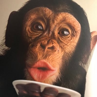 TaraJMelendez's profile picture. Mother, Daughter, Sister, Friend, Lover, Women Who Runs with the Wolves, Phunky Bitch, Phantastic Phew, Traveler, Dreamer, Hey Man I'm in the Band!