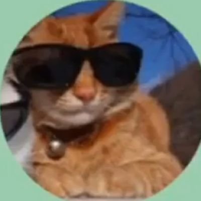Ahmetcicekkk29's profile picture.