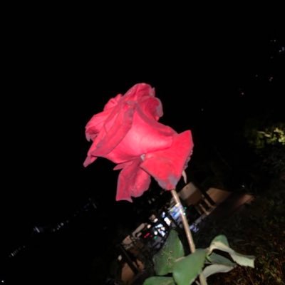 noapi96's profile picture. ログアウト  繋がってたい方 @rua15309 に移動。