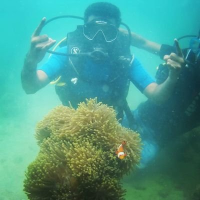 DhevasenapathyK's profile picture. 