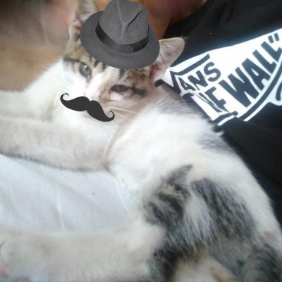 Petergr64057146's profile picture. simplemente