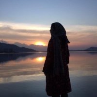 Fatima فاطمہ (@lost_kashmir) 's Twitter Profile Photo