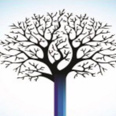 bohlool54384131's profile picture. 