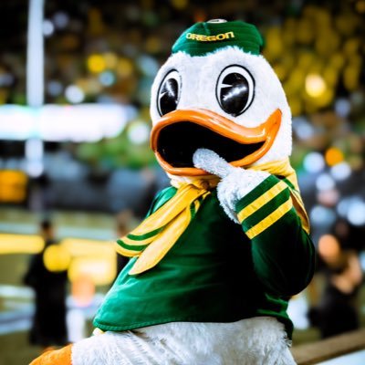 GODUCKS2023's profile picture. Conspiracy theorist remember: all penguins are black and white, and old TVs are black and white, but all penguins aren’t old TVs.
