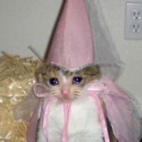 ᵕ᷄≀ ̠˘᷅ (@guu_dokkk) 's Twitter Profile