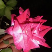 @_noname (@saifulgun9) 's Twitter Profile