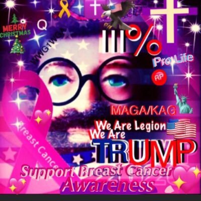 The APPFightingLion🇺🇸Support the Troops🎗ProLife.WeAreTheAmericanPatriotParty 🇺🇸WeAreTrump❤️🇺🇸