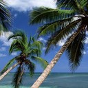 Elvis Cook - @DeltaElvis - Twitter