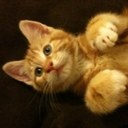 Vikki Joyce - @Vikkibeans - Twitter