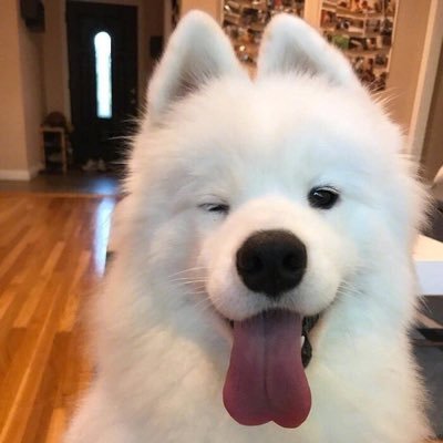 รักแล้วต้องไปที่ไหนกัน