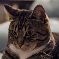 Katherine (@katherine_co_) 's Twitter Profile
