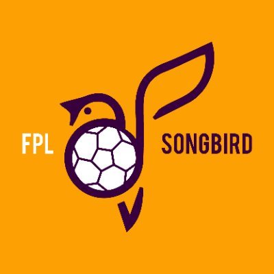 Football Enthusiast & #FPL Addict ⚽️📍🇸🇬 | I try to express my personal fantasy football views, insights & tips | Best OR: 8916 | ID: 565838