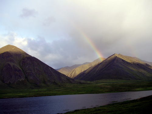 bsctrail's profile picture. Social Justice, Public Education, Peace, World Rhythm and Biodiversity,,,