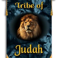 James Johnson (@jimmyhawk9) 's Twitter Profile