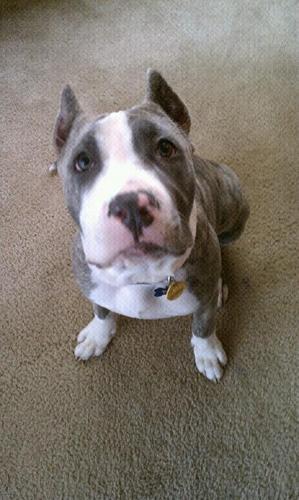 KCTSr's profile picture. 