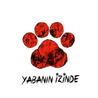 Yabanın İzinde(@yabaninizinde) 's Twitter Profile Photo