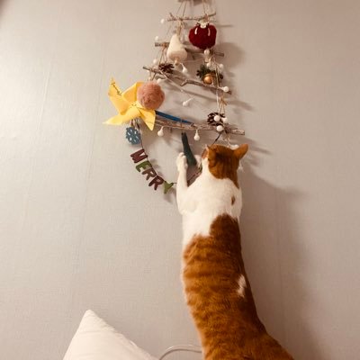 yikyonam's profile picture. -