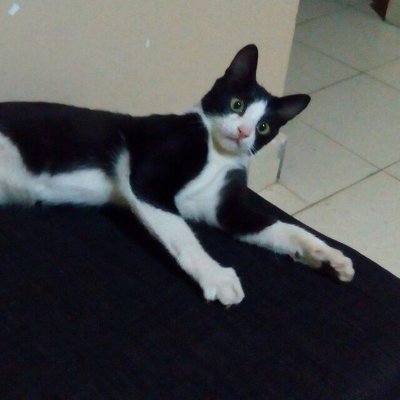 kagwidru's profile picture. 🖥C𝖔𝖉e  || ⚽𝔉𝔬𝔬𝔱𝔟𝔞𝔩𝔩