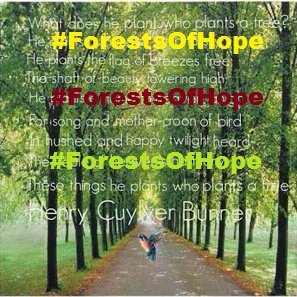 GROW 1 #Nativetree 4children of Each nation as Forests Of Hope-Hope 4 tom ; 195Nations=195Trees per forest| #Nature #biodiversity|Join Now; led by @AdityMukarji