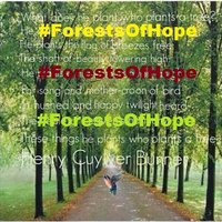 Forests Of Hope(@forestsofhope) 's Twitter Profileg