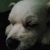 mish (@rm_mishka) 's Twitter Profile Photo mish (@rm_mishka) 's Twitter Profile Photo