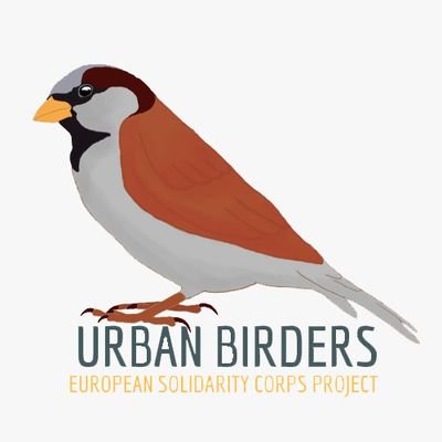 Proyecto de Voluntariado Europeo realizado por y para jóvenes de 18 a 30 años en el que somos embajadoras y embajadores de las aves urbanas 🐦.