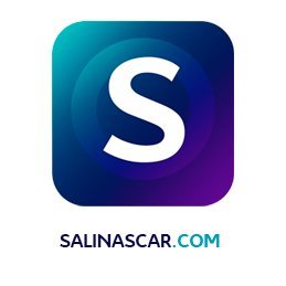 Grupo Salinas Car