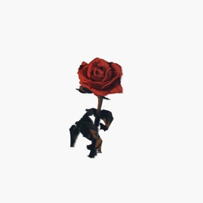 shi-さんのプロフィール画像