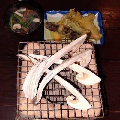 otomelodyblueai's profile picture. 良かったらフォローを宜しくお願いします(◍•ᴗ•◍)