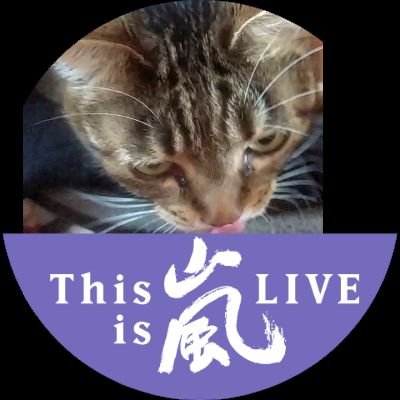 ＳＬＥ、混合性結合組織病、肺高血圧、間質性肺炎、と増えました。
2004年にＳＬＥ発症
医療費は国から面倒を見てもらって
います
去年悪化して再入荷
やっとエンドキサン療法終了
やっと短時間なら仕事('-^*)okになりました😄😄がんばります💪