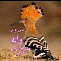 abdalkareem30k(@alsoffee) 's Twitter Profile Photo