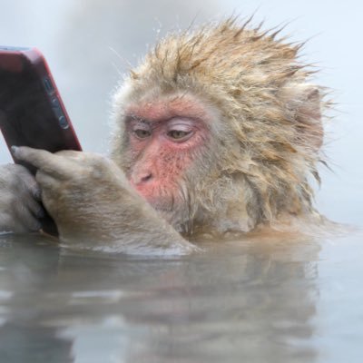 f_d_h_9_6's profile picture. 