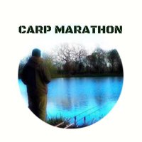 Carp Marathon(@carpmarathon) 's Twitter Profile Photo