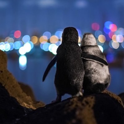 EstelleMML's profile picture. 