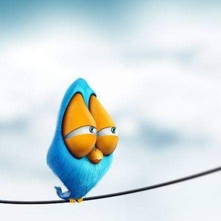 alexarikas's profile picture. 