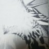 denebayane1's profile picture. 雑にボケます。