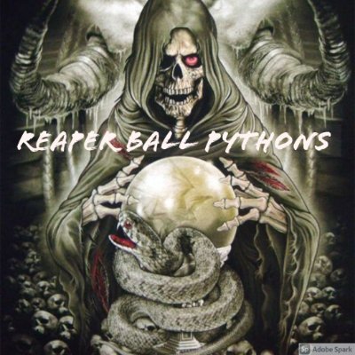 ReaperBPythons's profile picture. Hobby Ball Python Breeder