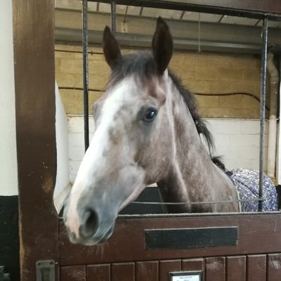 courtland53's profile picture. Londoner