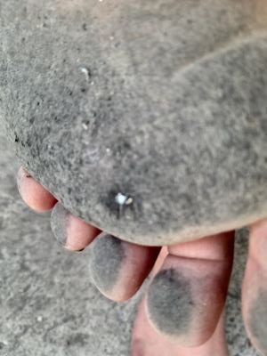 einig_kevin's profile picture. Gerne auf Schmutzigen Füssen unterwegs